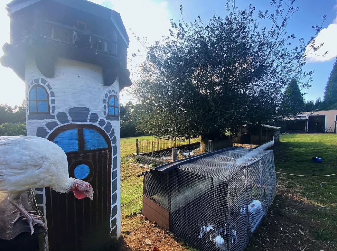 La granja de Lamacido: el pequeño torreón, un pavo blanco y el recinto de los animales junto a un árbol.